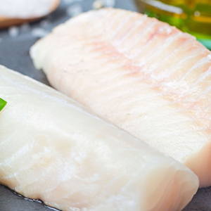 Bacalao