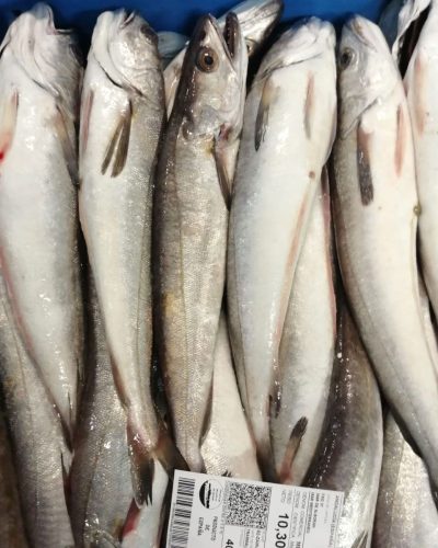 merluza merluza